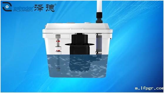 星空娱乐app下载安装