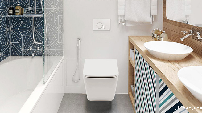 壁挂式马桶 壁挂式马桶