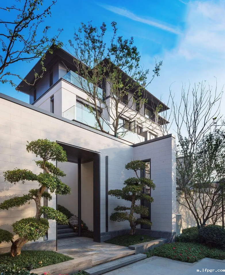 别墅星空app安卓版