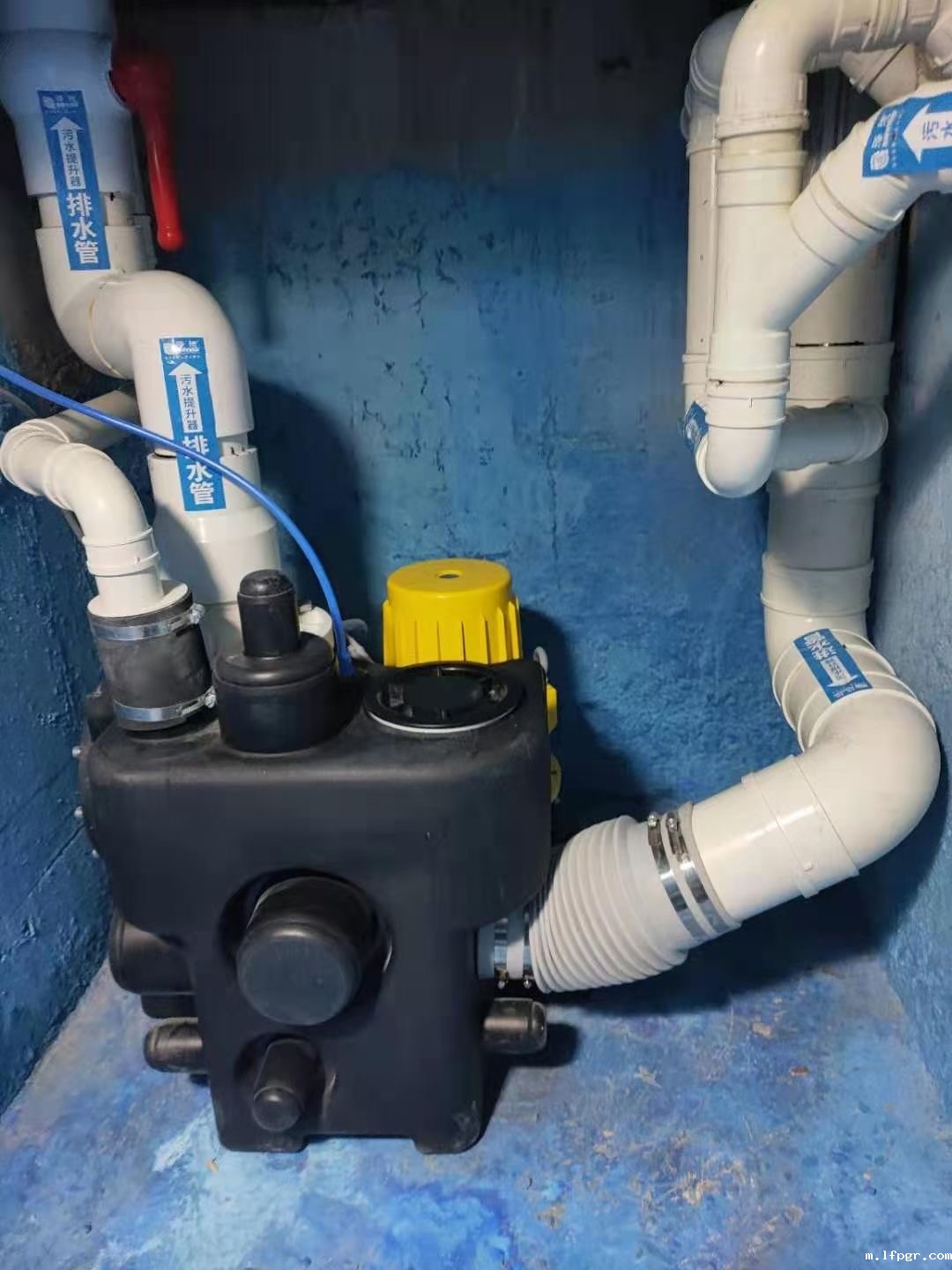 星空娱乐app下载安装